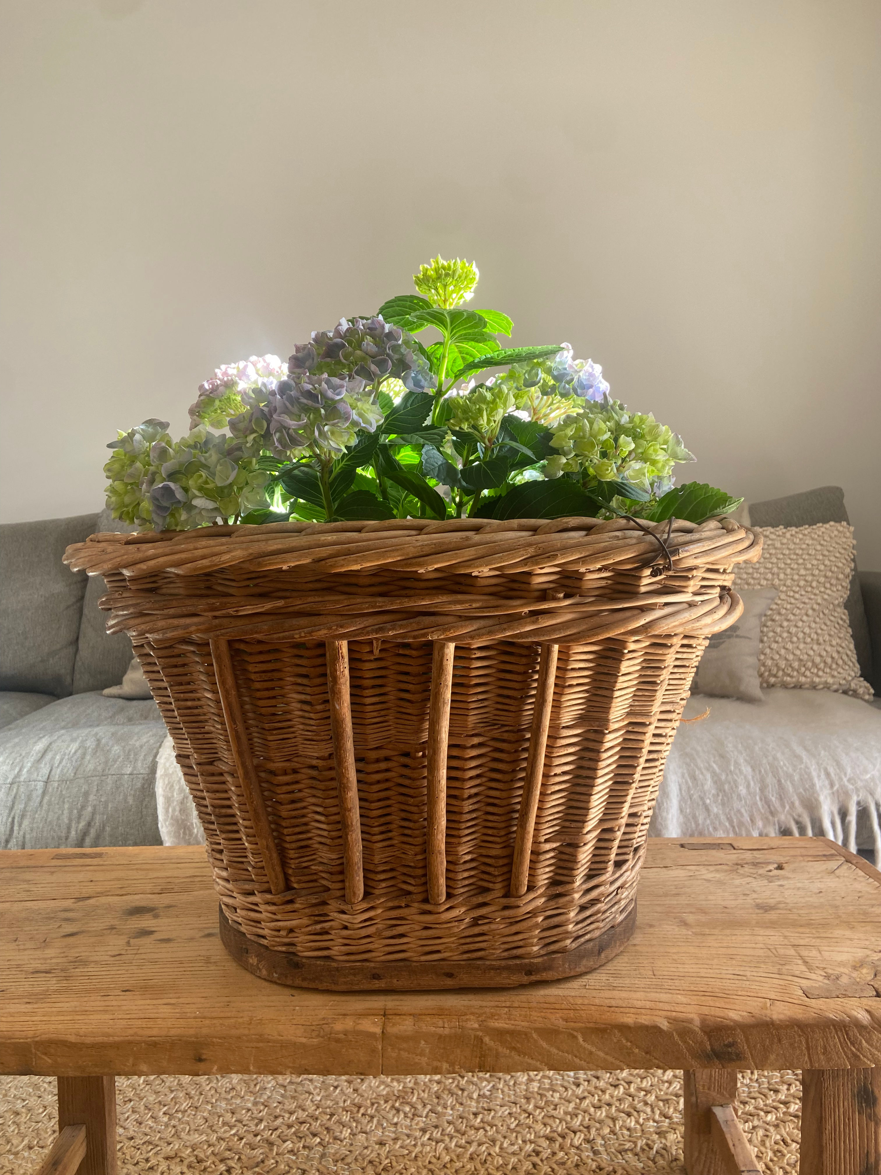 Gorgeous Large French Gathering Basket