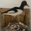 Thumbnail: French Folk Art Decoy Bird N°1