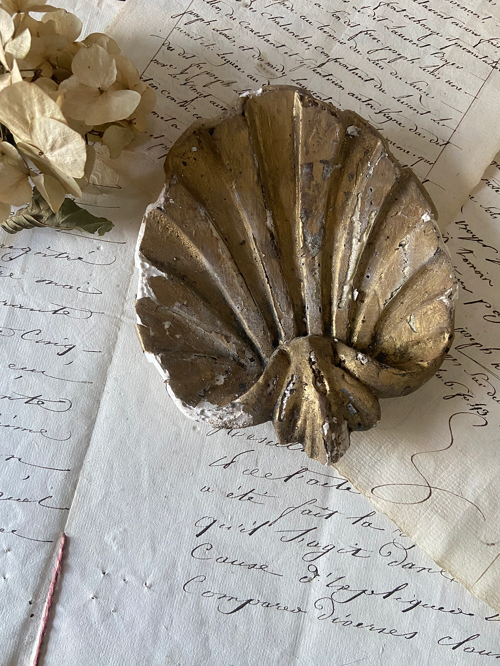 Glorious Architectural Plaster Shell