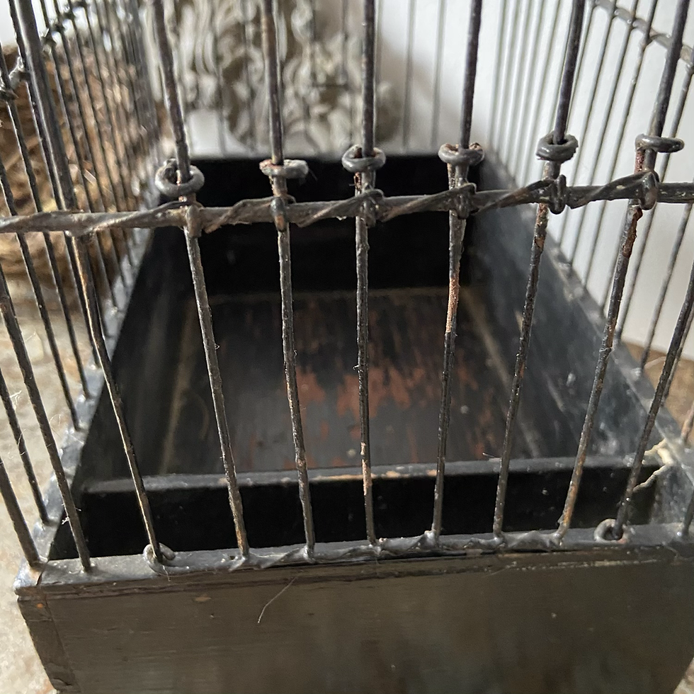 Thumbnail: A Vintage Songbird Cage