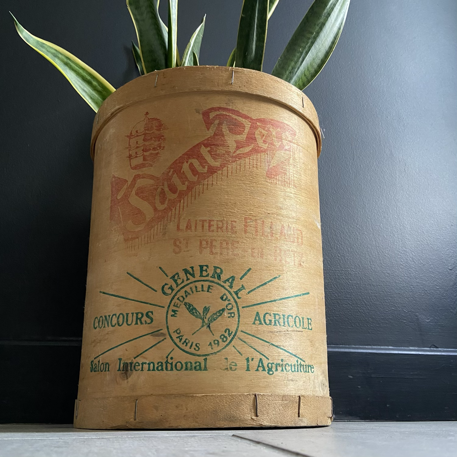 Large Vintage French Bentwood Food Canister