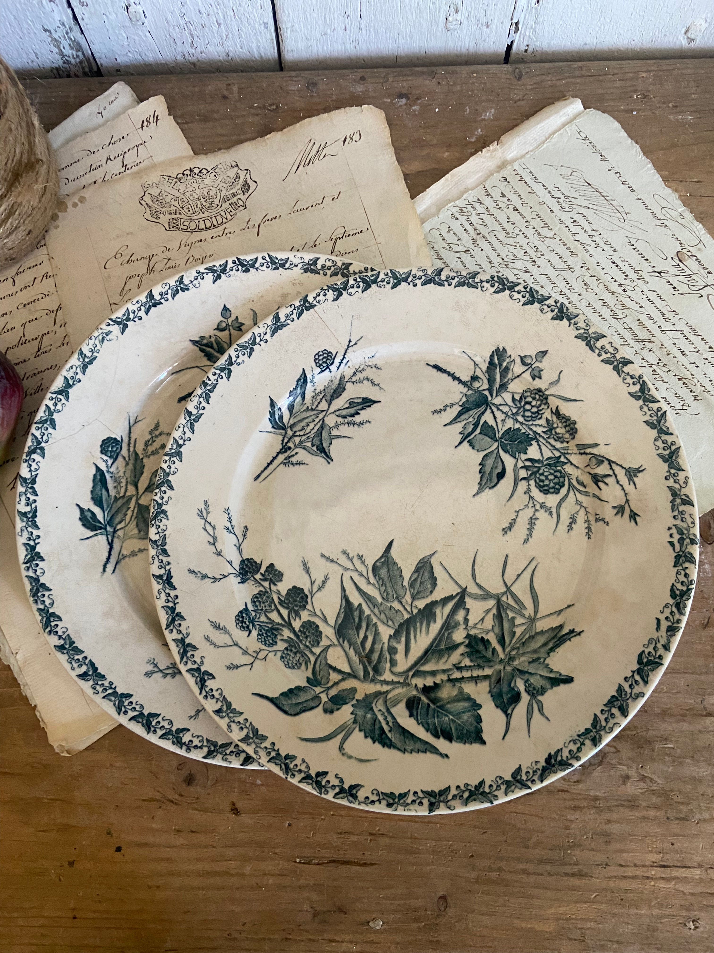 A Pair of Antique French Transfer Ware Plates