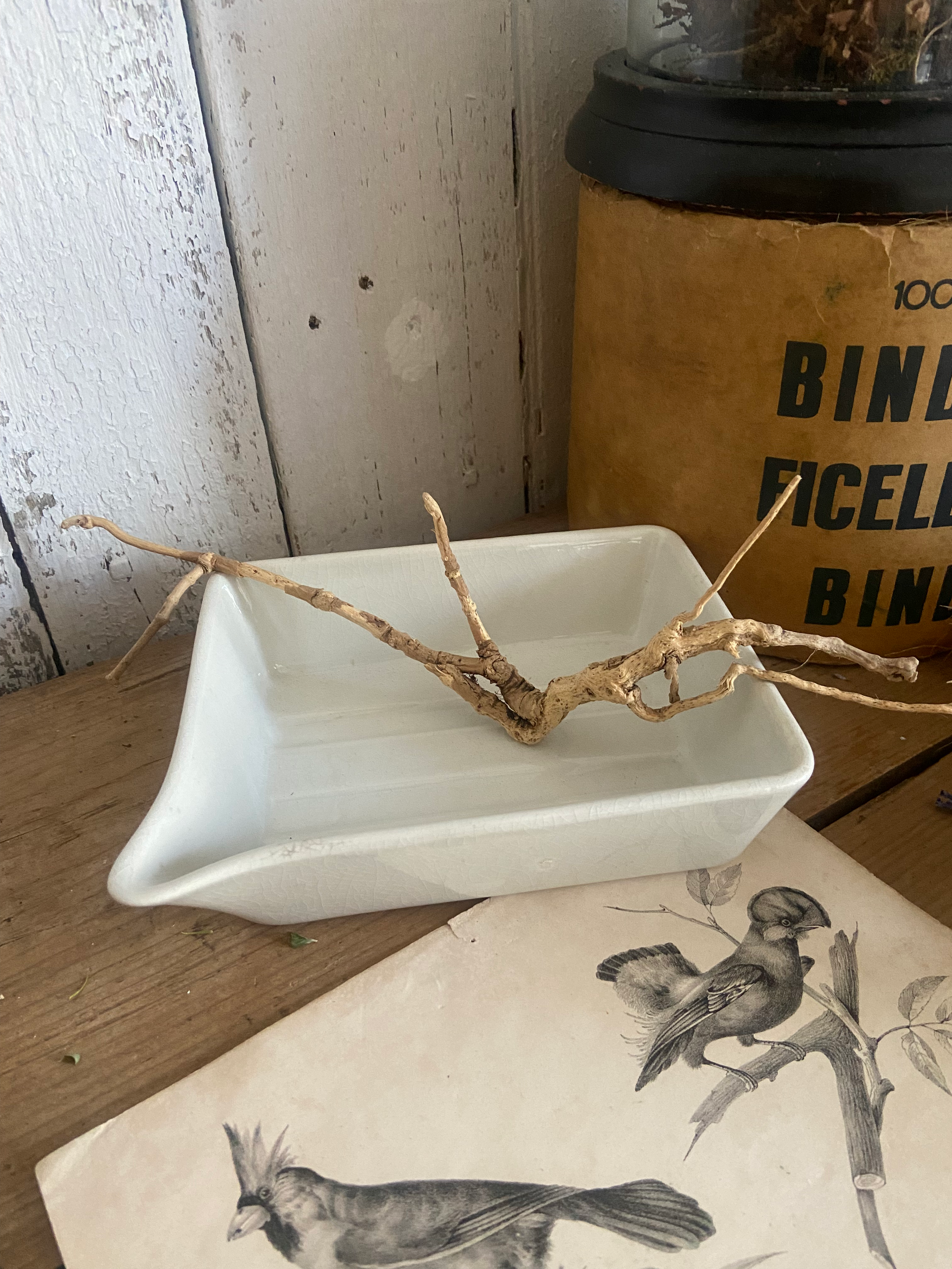 Small Vintage French Developing Tray
