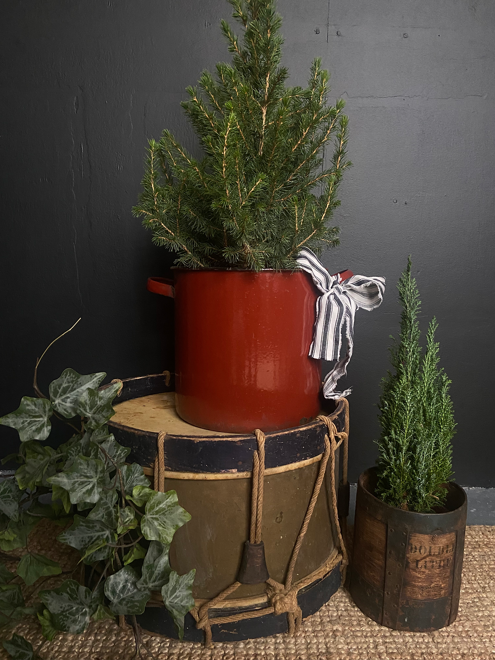Fabulous Vintage French Enamel Tub