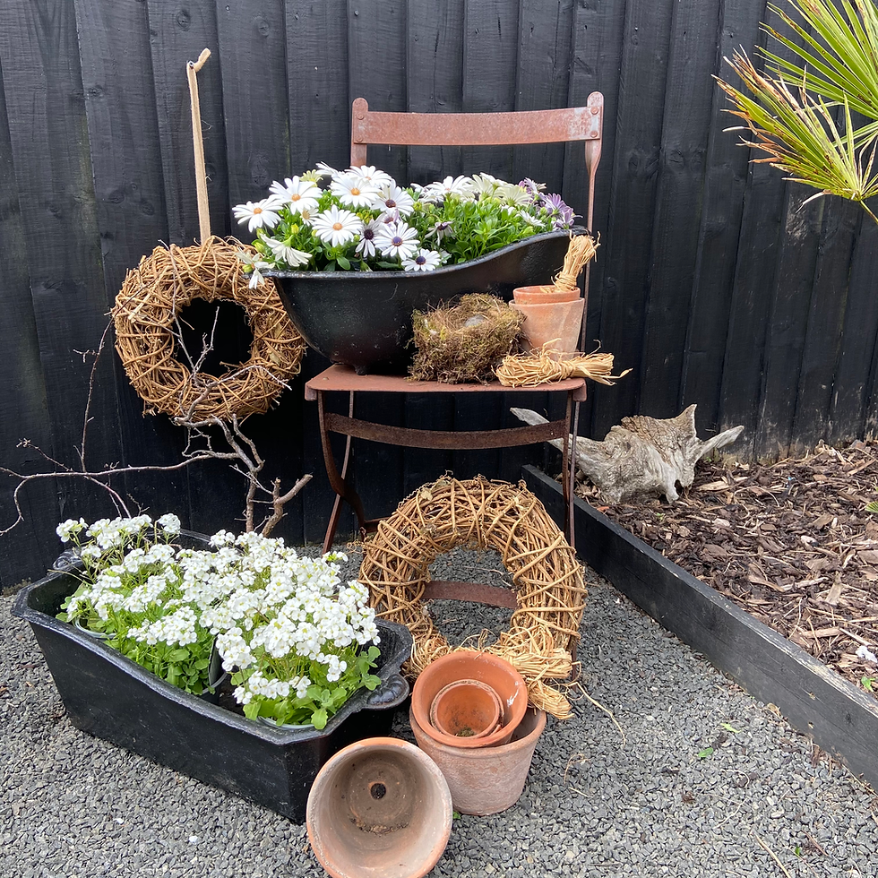 Thumbnail: French Vintage Cast Iron Bath Shaped Planters 