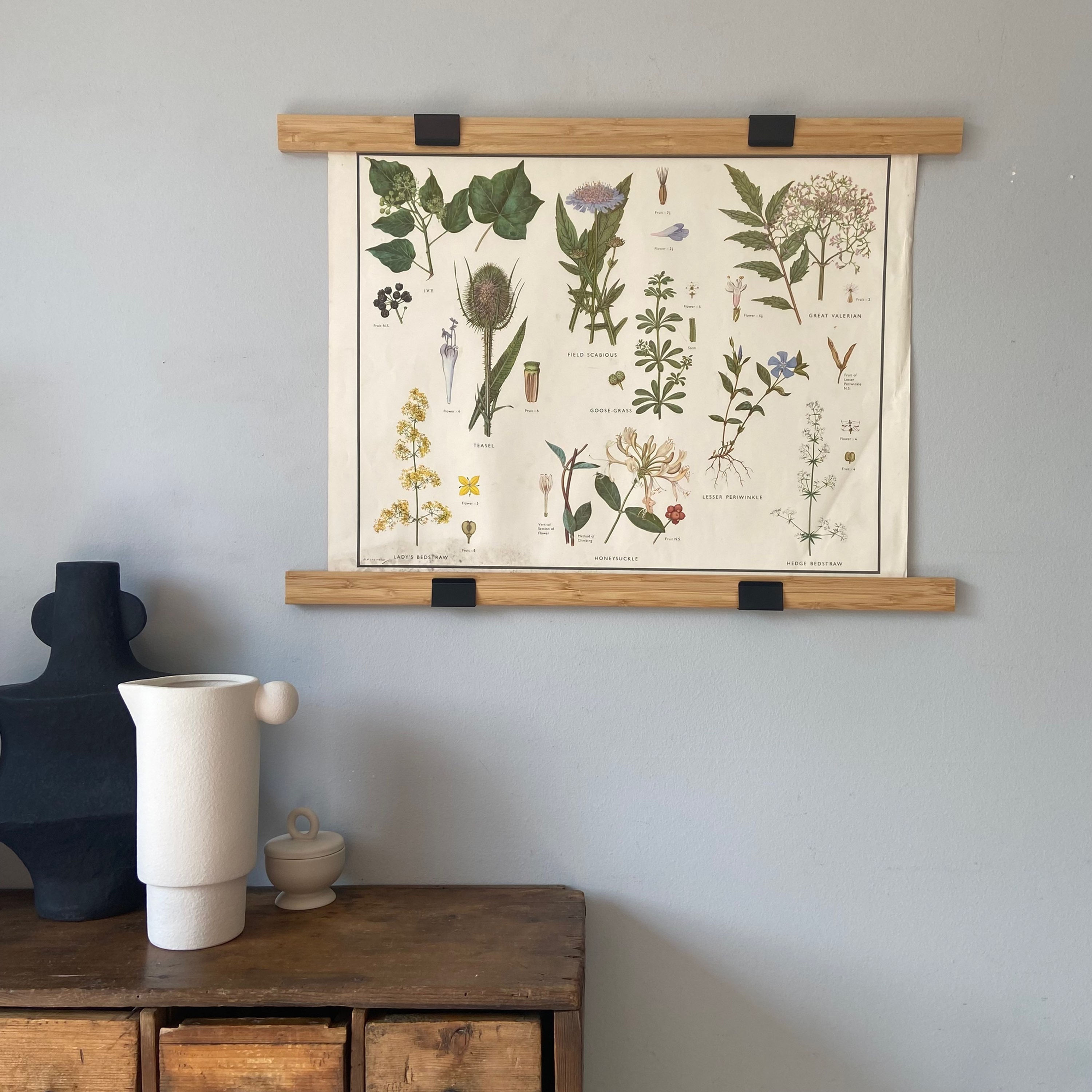 Vintage Educational Poster -  Miscellaneous Families III