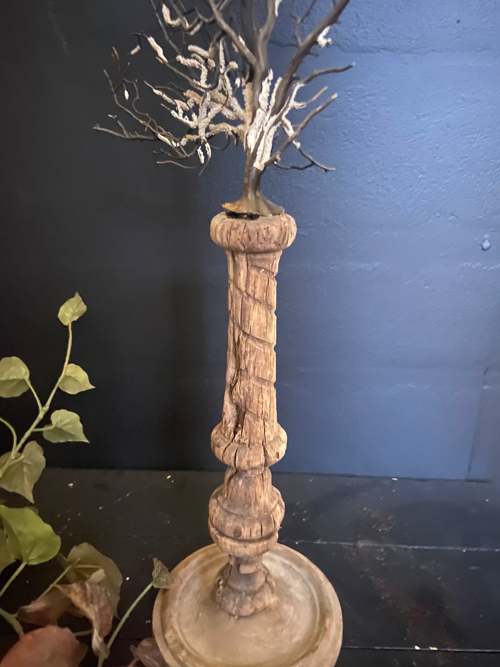 Thumbnail: Mounted Genuine Sea Fan