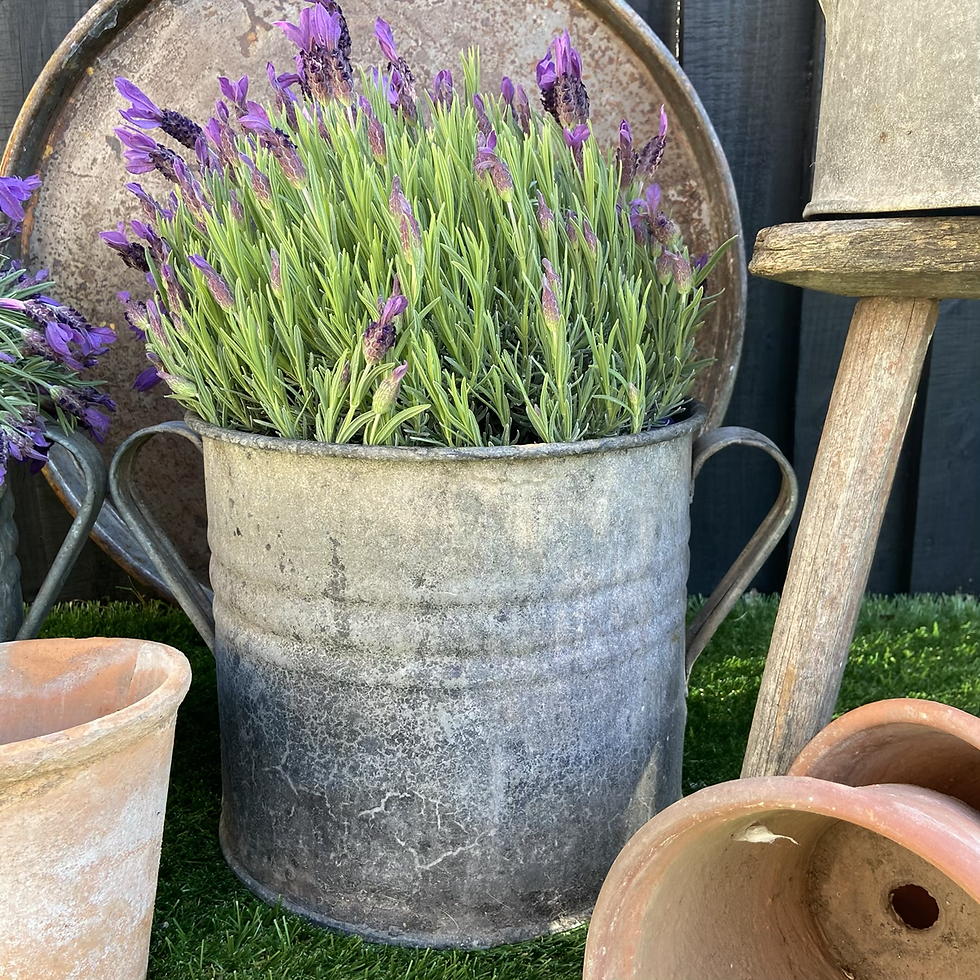 Thumbnail: Medium Vintage Galvanised Two Handled Tub