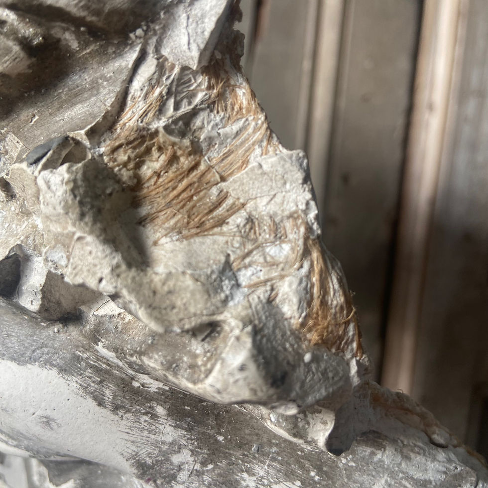Thumbnail: Antique French Plaster Mask Mid 1800’s