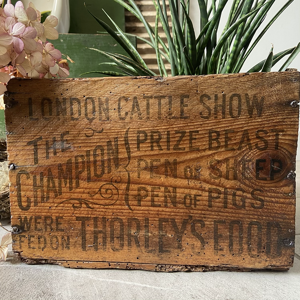 Rare Vintage Cattle Show Crate