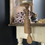 Thumbnail: Rare Vintage Wig Stand on Table Clamp  