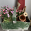 Thumbnail: Green Chippy Paint Rustic Trug