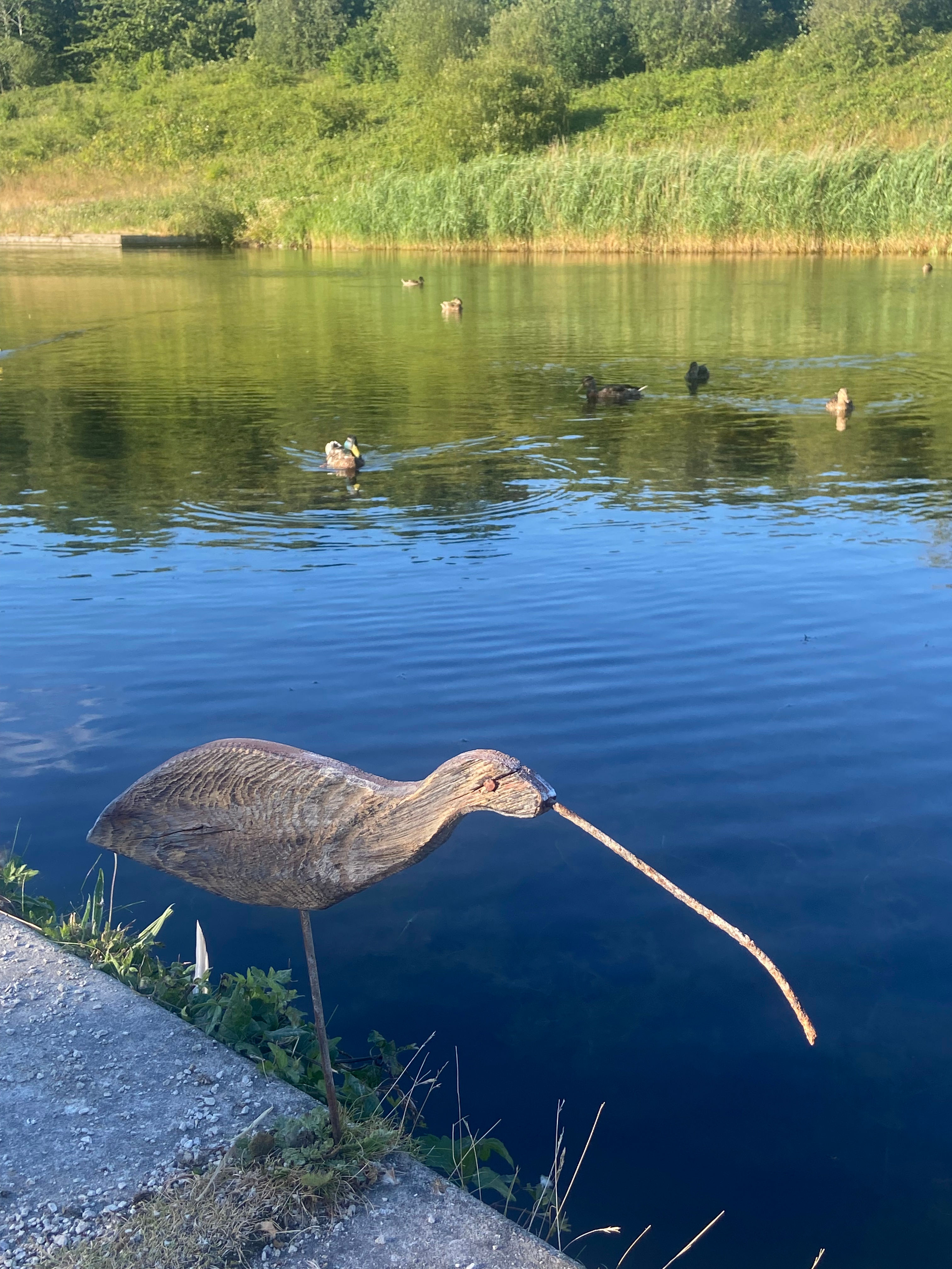French Folk Art Wader Bird - Doug