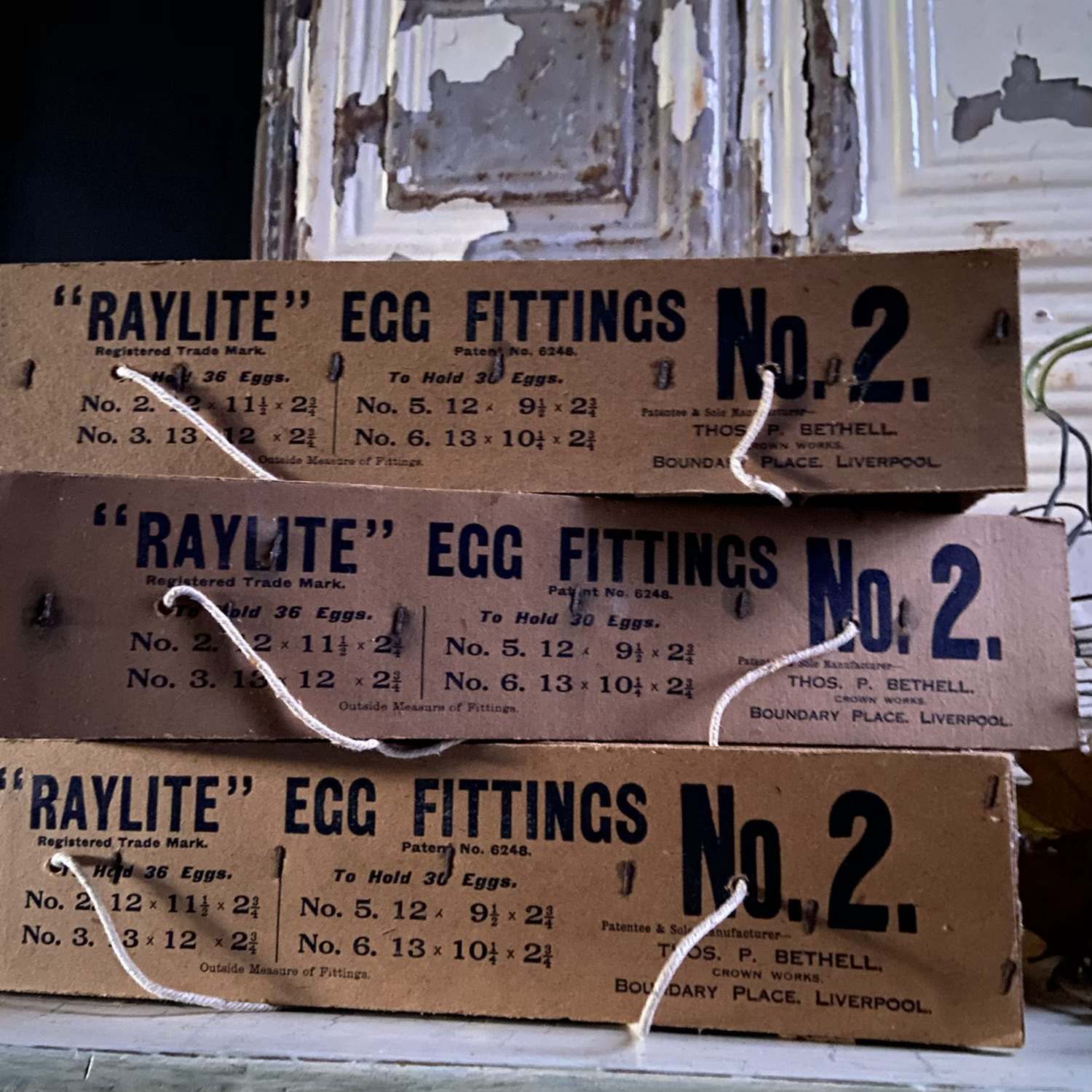Fabulous Vintage Raylite Transportation Trays
