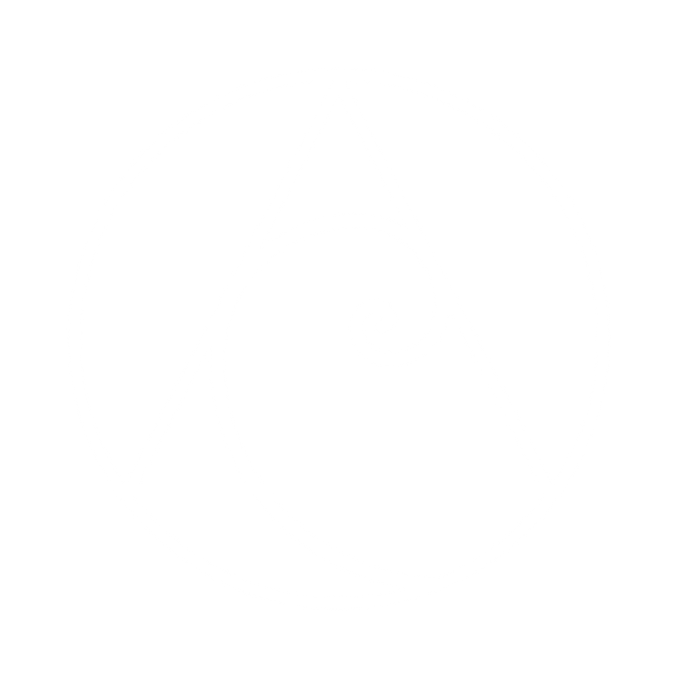 Owllum logo