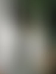 Mais algumas novidades em decoração que são tendências em 2018, e que estão fazendo nossos clientes