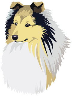 Sheltie head.png