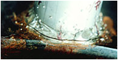 Rust, Metallurgy Failure in Annapolis MD