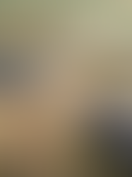 TA Tidbits #76 Wildlife Linkages