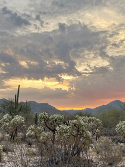 Dove Mountain Development Status November 2021