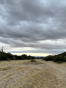 Shades of Gray Make The Day