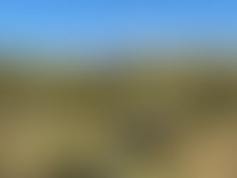 TA Tidbits #56-TP Enjoyment