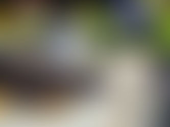 March 23 IRSD Board Meeting - Doing Away with Referendums?