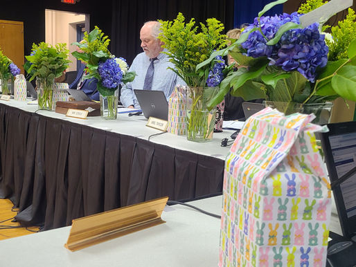 March 23 IRSD Board Meeting - Doing Away with Referendums?