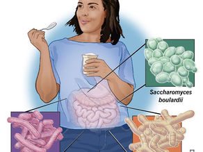 Probiotics Can Boost Immunity Against COVID-19