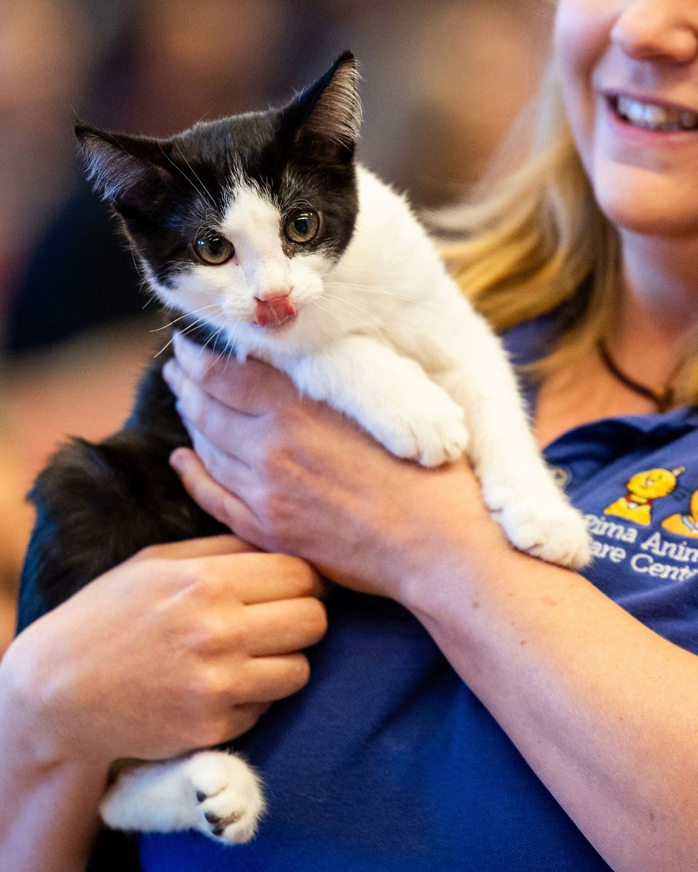 548301944_1273010214865759_2771243819334835906_n