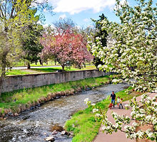 Facebook-Denver-CherryCreekPath.jpg