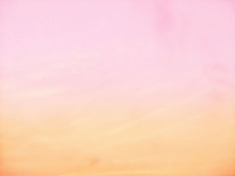 avinash-kumar-ydtyNU7-c1A-unsplash.jpg