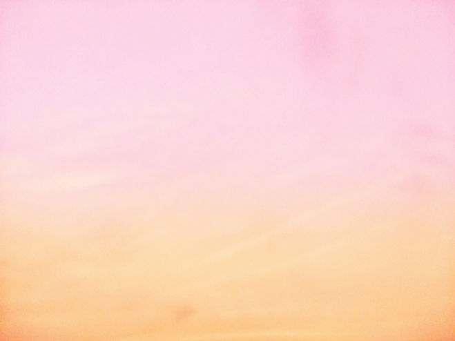 avinash-kumar-ydtyNU7-c1A-unsplash.jpg