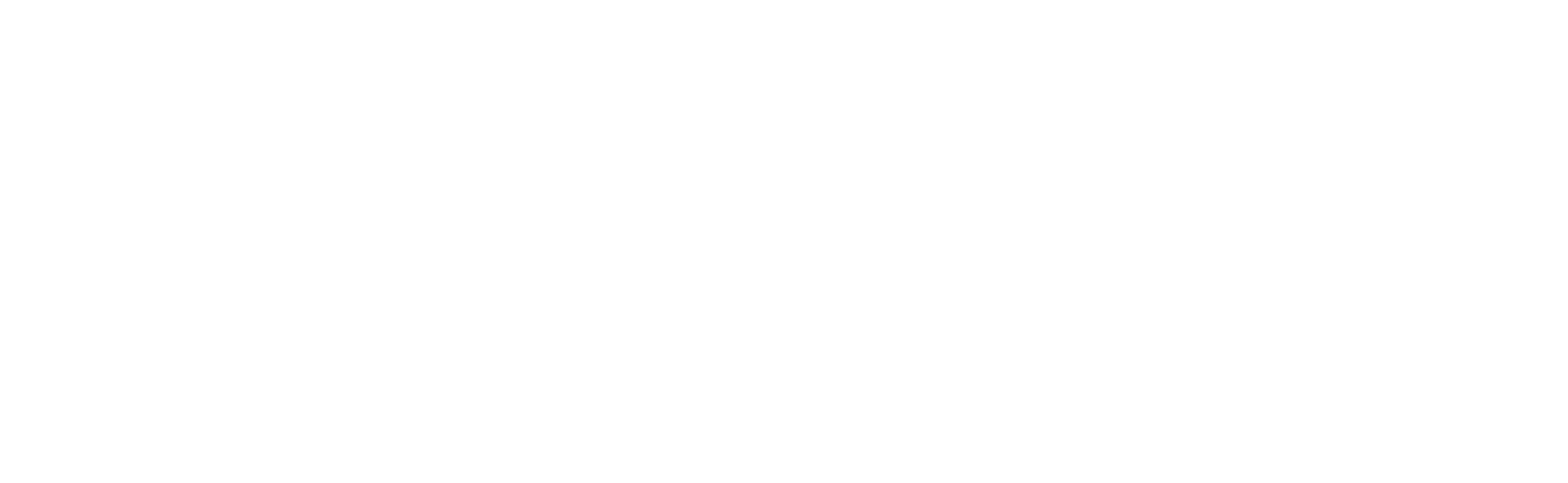 RAW Logo White simplifié.png