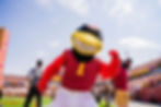Cy