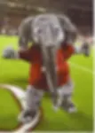 Big Al