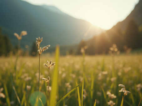 Cultivating the Fruit of the Spirit in Everyday Life