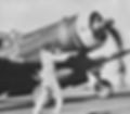 Vought-F4U-1P-Corsair-VF-84-White-152-he