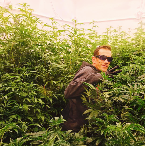 West-Coast-Herbs-Plants