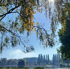 IMG-20221006-WA0002 (1)_edited_edited.jpg