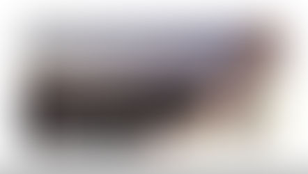 Un cheminement onirique...                    The Running Fence