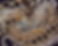 shutterstock_97878914.jpg
