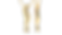 IFS-12554 1_edited.png