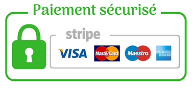 paiement_securises_large_732d2c32-f65b-43e8-a615-a293d34eb8f8_large.png
