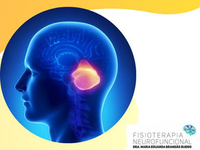 O que é cerebelopatia?