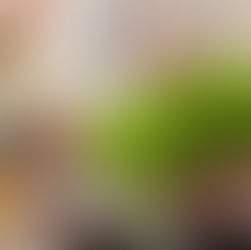 Hepatites virais: você sabia que algumas boas práticas podem evitar a contaminação dos alimentos?