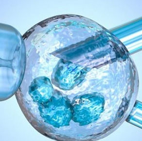 Porque é importante considerar o congelamento de óvulos, como fez Khloé Kardashian