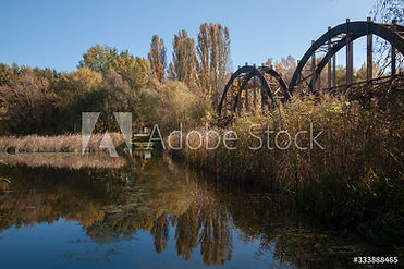 AdobeStock_333888465_Preview.jpeg