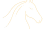 ChatGPT Image 16. Sept_edited.png