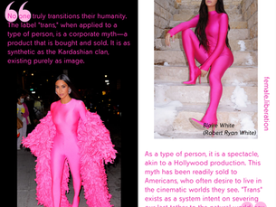 The lies of the body modification industry harm all of us...Jennifer Bilek's Analysis Helped Me to Connect the Dots